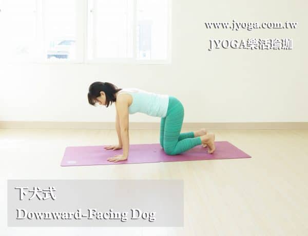 台南JYOGA樂活瑜珈-瑜珈教學-下犬式