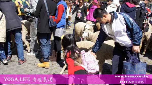 台南JYOGA樂活瑜珈-清境農場 2015奔羊節 清境國民賓館